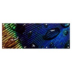 Peacock Feather Retina Mac Banner And Sign 8  X 3  by Ket1n9