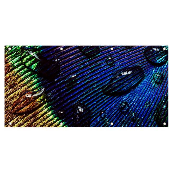 Peacock Feather Retina Mac Banner and Sign 8  x 4 