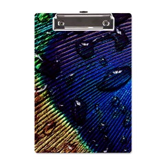 Peacock Feather Retina Mac A5 Acrylic Clipboard by Ket1n9