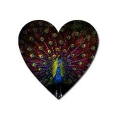 Beautiful Peacock Feather Heart Magnet by Ket1n9