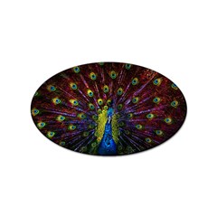 Beautiful Peacock Feather Sticker Oval (100 Pack) by Ket1n9