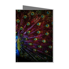 Beautiful Peacock Feather Mini Greeting Cards (pkg Of 8) by Ket1n9