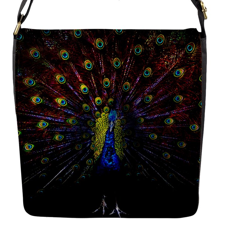 Beautiful Peacock Feather Flap Closure Messenger Bag (S)