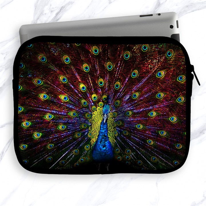 Beautiful Peacock Feather Apple iPad 2/3/4 Zipper Cases