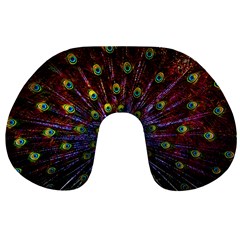 Beautiful Peacock Feather Travel Neck Pillow by Ket1n9