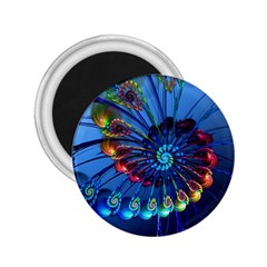 Top Peacock Feathers 2 25  Magnets by Ket1n9