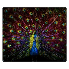 Beautiful Peacock Feather Two Sides Premium Plush Fleece Blanket (small) by Ket1n9