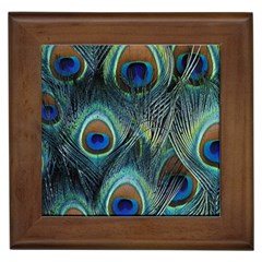 Feathers Art Peacock Sheets Patterns Framed Tile by Ket1n9