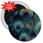 Feathers Art Peacock Sheets Patterns 3  Magnets (100 pack) Front