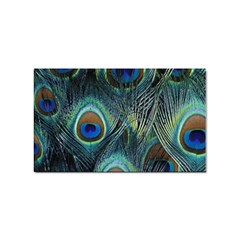 Feathers Art Peacock Sheets Patterns Sticker (rectangular) by Ket1n9