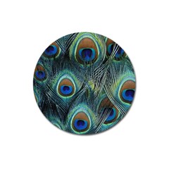 Feathers Art Peacock Sheets Patterns Magnet 3  (round) by Ket1n9