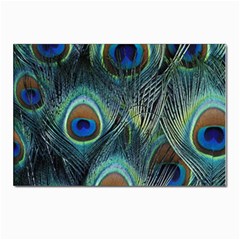 Feathers Art Peacock Sheets Patterns Postcards 5  X 7  (pkg Of 10) by Ket1n9