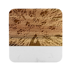 Fractal Peacock Art Marble Wood Coaster (square)