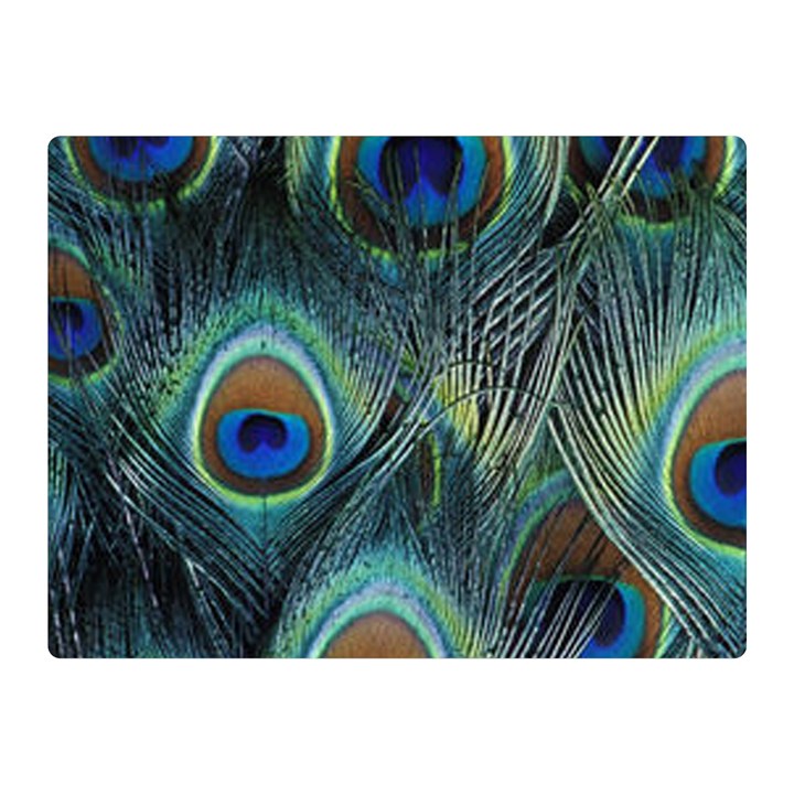 Feathers Art Peacock Sheets Patterns Two Sides Premium Plush Fleece Blanket (Mini)