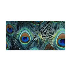 Feathers Art Peacock Sheets Patterns Yoga Headband by Ket1n9