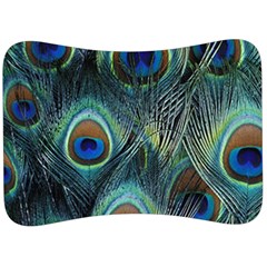 Feathers Art Peacock Sheets Patterns Velour Seat Head Rest Cushion by Ket1n9