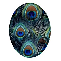 Feathers Art Peacock Sheets Patterns Oval Glass Fridge Magnet (4 Pack) by Ket1n9