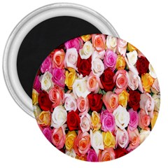 Rose Color Beautiful Flowers 3  Magnets by Ket1n9