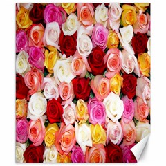 Rose Color Beautiful Flowers Canvas 8  X 10 