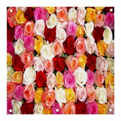 Rose Color Beautiful Flowers Banner And Sign 3  X 3  by Ket1n9