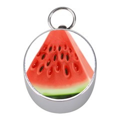 Seamless Background With Watermelon Slices Mini Silver Compasses by Ket1n9