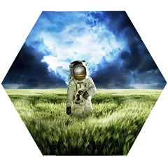 Astronaut Wooden Puzzle Hexagon by Ket1n9