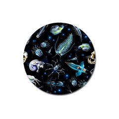 Colorful Abstract Pattern Consisting Glowing Lights Luminescent Images Marine Plankton Dark Backgrou Magnet 3  (round) by Ket1n9