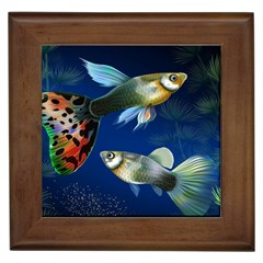 Marine Fishes Framed Tile by Ket1n9