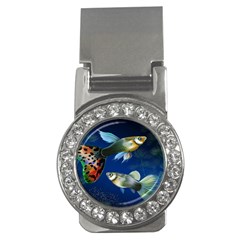 Marine Fishes Money Clips (cz)  by Ket1n9