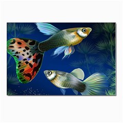 Marine Fishes Postcard 4 x 6  (pkg Of 10) by Ket1n9