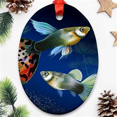 Marine Fishes Oval Ornament (two Sides) by Ket1n9