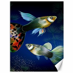 Marine Fishes Canvas 36  X 48  by Ket1n9