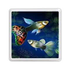 Marine Fishes Memory Card Reader (square) by Ket1n9