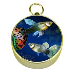 Marine Fishes Gold Compasses by Ket1n9