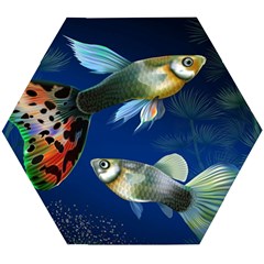 Marine Fishes Wooden Puzzle Hexagon by Ket1n9