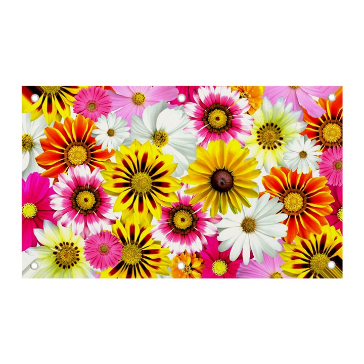 Flowers Blossom Bloom Nature Plant Banner and Sign 5  x 3 