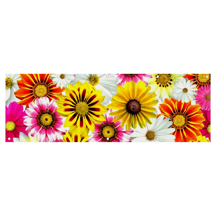 Flowers Blossom Bloom Nature Plant Banner and Sign 12  x 4 