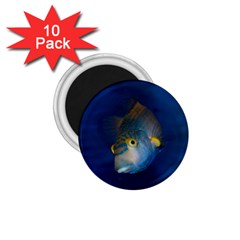 Fish Blue Animal Water Nature 1 75  Magnets (10 Pack)  by Hannah976