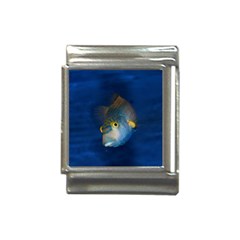 Fish Blue Animal Water Nature Italian Charm (13mm) by Hannah976