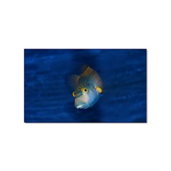 Fish Blue Animal Water Nature Sticker Rectangular (100 Pack) by Hannah976