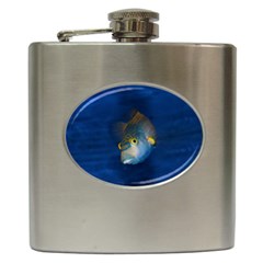 Fish Blue Animal Water Nature Hip Flask (6 Oz) by Hannah976