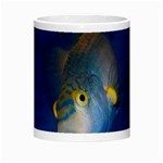 Fish Blue Animal Water Nature Morph Mug Center