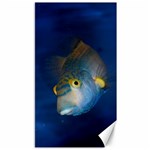 Fish Blue Animal Water Nature Canvas 40  x 72  39.28 x69.23  Canvas - 1