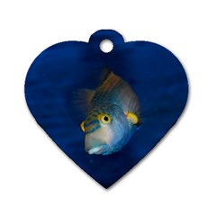 Fish Blue Animal Water Nature Dog Tag Heart (two Sides) by Hannah976