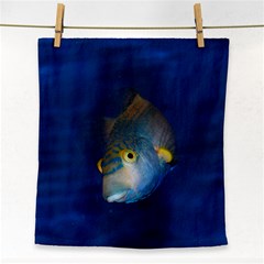 Fish Blue Animal Water Nature Face Towel by Hannah976