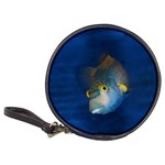 Fish Blue Animal Water Nature Classic 20-CD Wallets Front