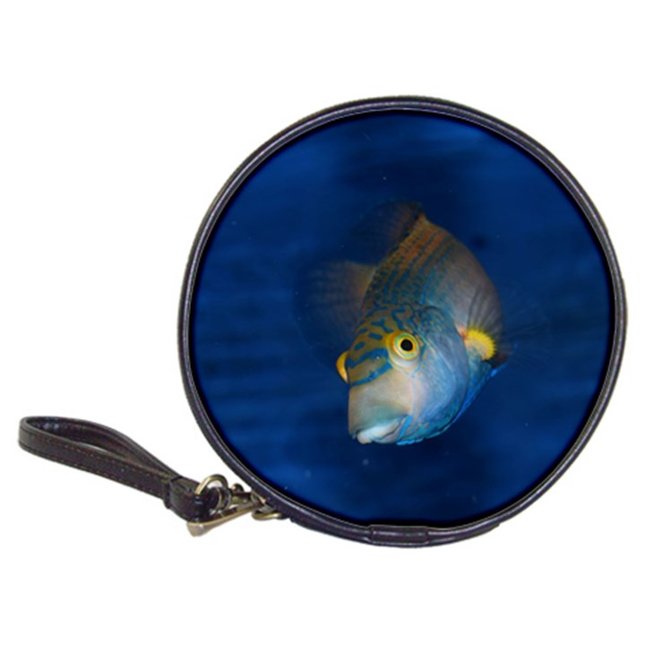 Fish Blue Animal Water Nature Classic 20-CD Wallets