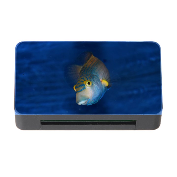 Fish Blue Animal Water Nature Memory Card Reader with CF