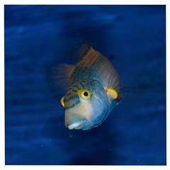 Fish Blue Animal Water Nature Wooden Puzzle Square by Hannah976