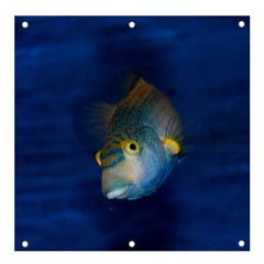 Fish Blue Animal Water Nature Banner And Sign 4  X 4  by Hannah976